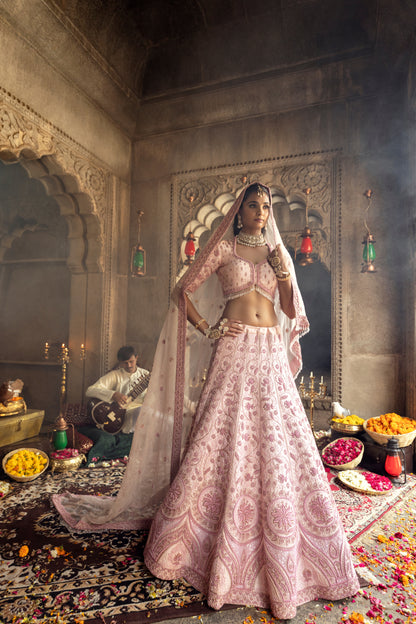 LAVANYA